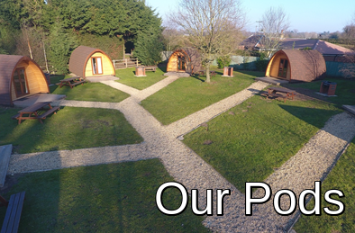 Our pods &nbsp; &nbsp;
